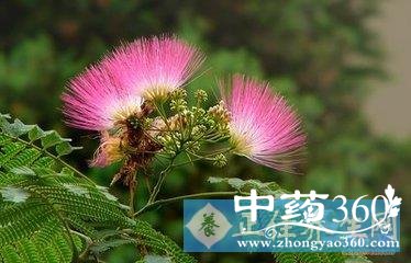 t016478840562b65bfe.jpg t016478840562b65bfe.jpg