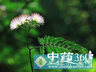 t017cc385815bf4a1b5.jpg t017cc385815bf4a1b5.jpg