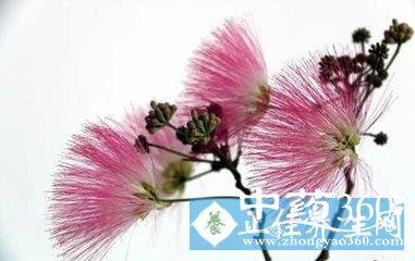 t01e9b9fdaaec70cfa4.jpg t01e9b9fdaaec70cfa4.jpg