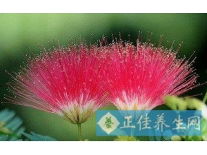 �ϻ����������ݹ�Ч�⣬������Щҩ�ü�ֵ�͹�Ч�أ�