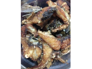 ôը㲻ճ ʮը㼼ɱɱɹ