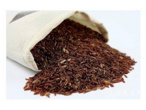 ������� �Ƽ��������ݹ���