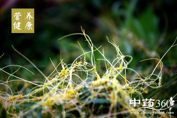 tusizidegongxiaoyuzuoyong