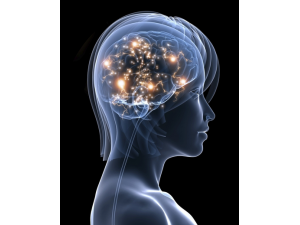 �������� ����һ���߽����ص�����