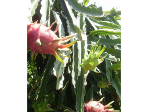 �и��ɲ����Ի����� ����Щע��������