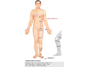 ಻ʲô֢״ 㲻ɲ֪ʶ