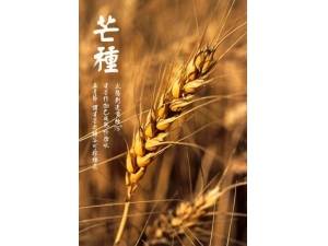 ��â�������� ��Ҫ������˷�