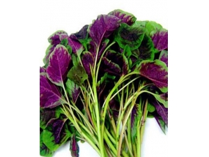 Ů��ȱ�Ƹ���β� ȱ��Ӧ�ó�ʲô