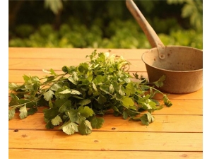 �������Ĺ�Ч������ ���ɢ��Ч����