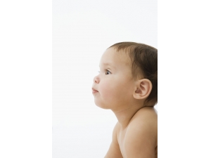 ���������ע������ ���ɽ��������������Ⱥ