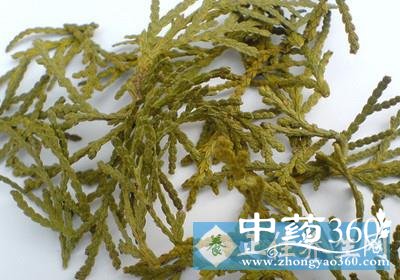 t01b089411c7b048532.jpg t01b089411c7b048532.jpg