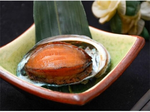 ����Ĺ�Ч������ �ʱ���Ӫ����ֵ