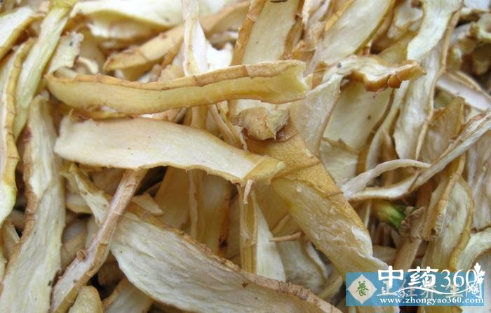 3214028.jpg 3214028.jpg