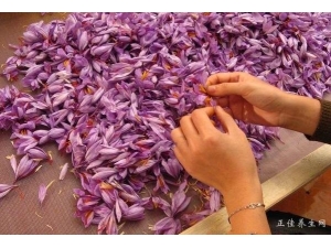 �غ컨 �ӹ������Ŀ���