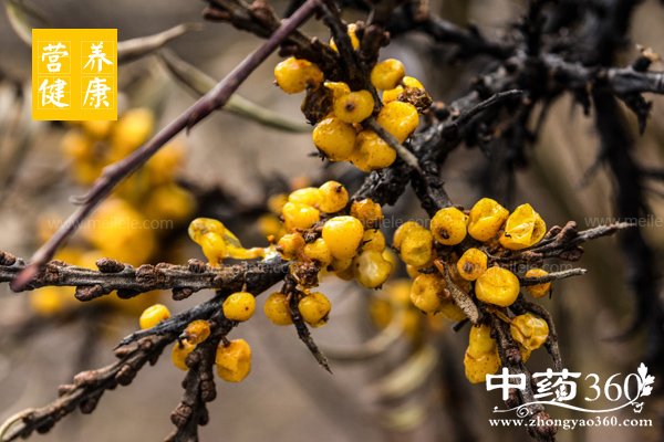 shajidegongxiaoyuzuoyong