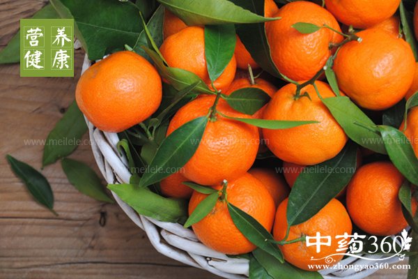 juzidegongxiaoyuzuoyong