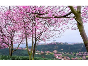 ����Ҫ��������� �������´�������С��ʶ