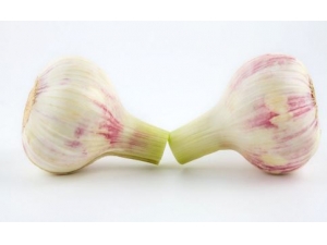 �����ѷ���ԭ�� 6��ʳ��ᵼ�������ѷ�