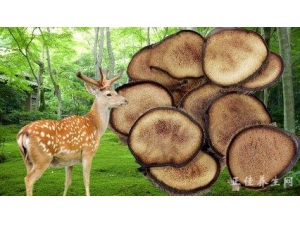 ���ܲ��������в�ҩ��ʲô��