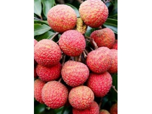 �ļ�����֦Ҫ�����ĵ� �����Բ��ܲ��ϻ�