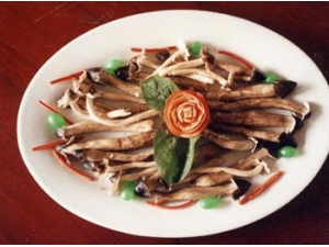 ��Ѽ��ȵ����� ��Ѽ�������ô����