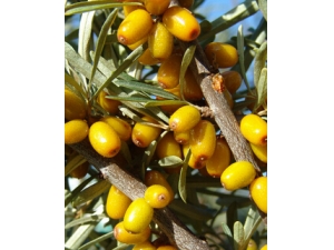 �����׵�5��ˮ�� �������㻹�ڵ�ʲô