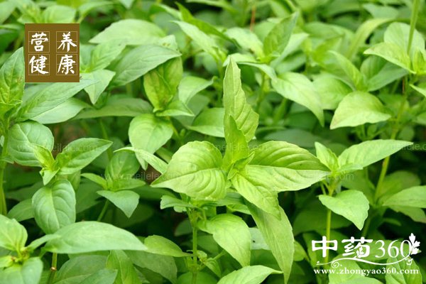 jingjiedegongxiaoyuzuoyong