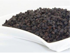 ԭ��Ů�����ܹ��������� ������˥��