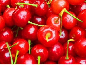 �п�˥�Ϲ�Ч������ʳ�� һ����������