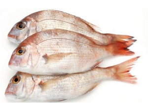 �㴽�Ĺ�Ч������ �㴽������