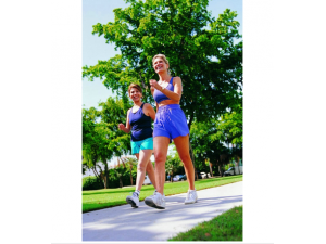 ������������ ������������������