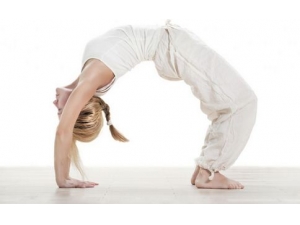 �ʺϴ����������� ��Ҳ��������