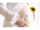 孕妇中药禁忌 用药不当伤害母子健康