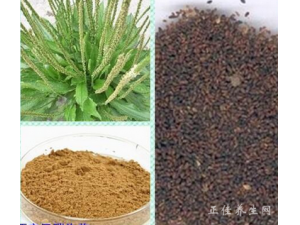 ��ǰ�ӿǾ�Ȼ���Ի�����أ��ٽ����ʣ�