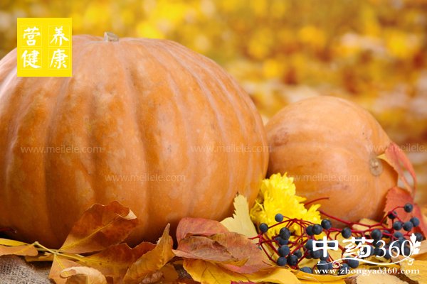 weihanchishenmeshiwuhao