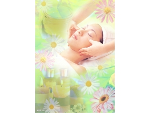 ���������������� ��������������ݵ�