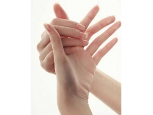 ���Ʋ�������������� Ԥ�������������