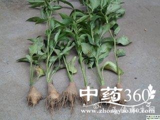 t01f93e5e65a96af3c9.jpg t01f93e5e65a96af3c9.jpg