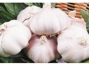 ������ô�Ը����� ����ĳԷ�