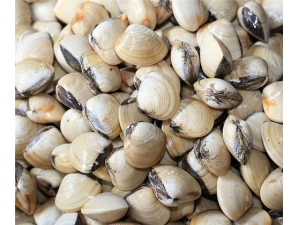 ���ݱ��Ĺ�Ч������ �ٽ�ʳ��Ч����