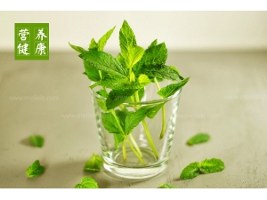 ���ɲ�Ĺ�Ч ���� Ӫ���ٿ�