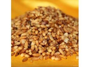 �����ʣ����صĿ���