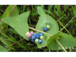 ��ҩ���⼸�������ò��ܺ���