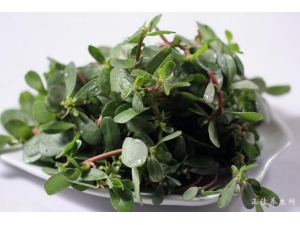 ���ݲ˿�Ԥ�����ಡ