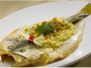 ��Ѭ�������Թ��� ��Ѭ����������