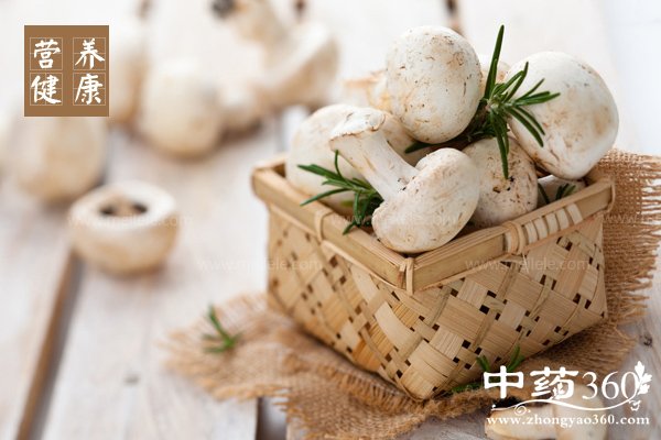 mogudeyingyangjiazhi