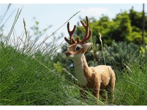 ���¹�׵Ĺ�Ч������ ���¹�׾���ô��