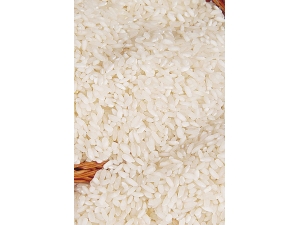 ����������ײ����� ����ѡ�����׵�����