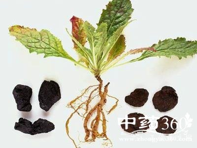 2006953_201112242112290707.jpg 2006953_201112242112290707.jpg