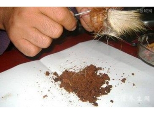 �˹�����ҩ�ü�ֵ